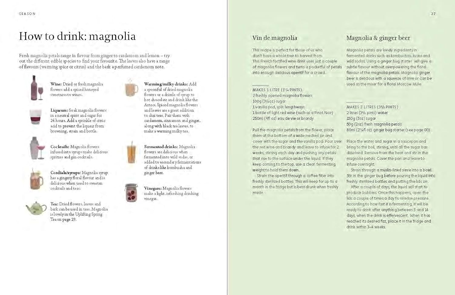 Foragers Guide To Wild Drinks